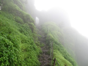 Trail leading to Padmavati Machi